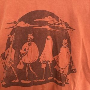 American Eagle Outfitters Peach Cozy Crew Sweatshirt